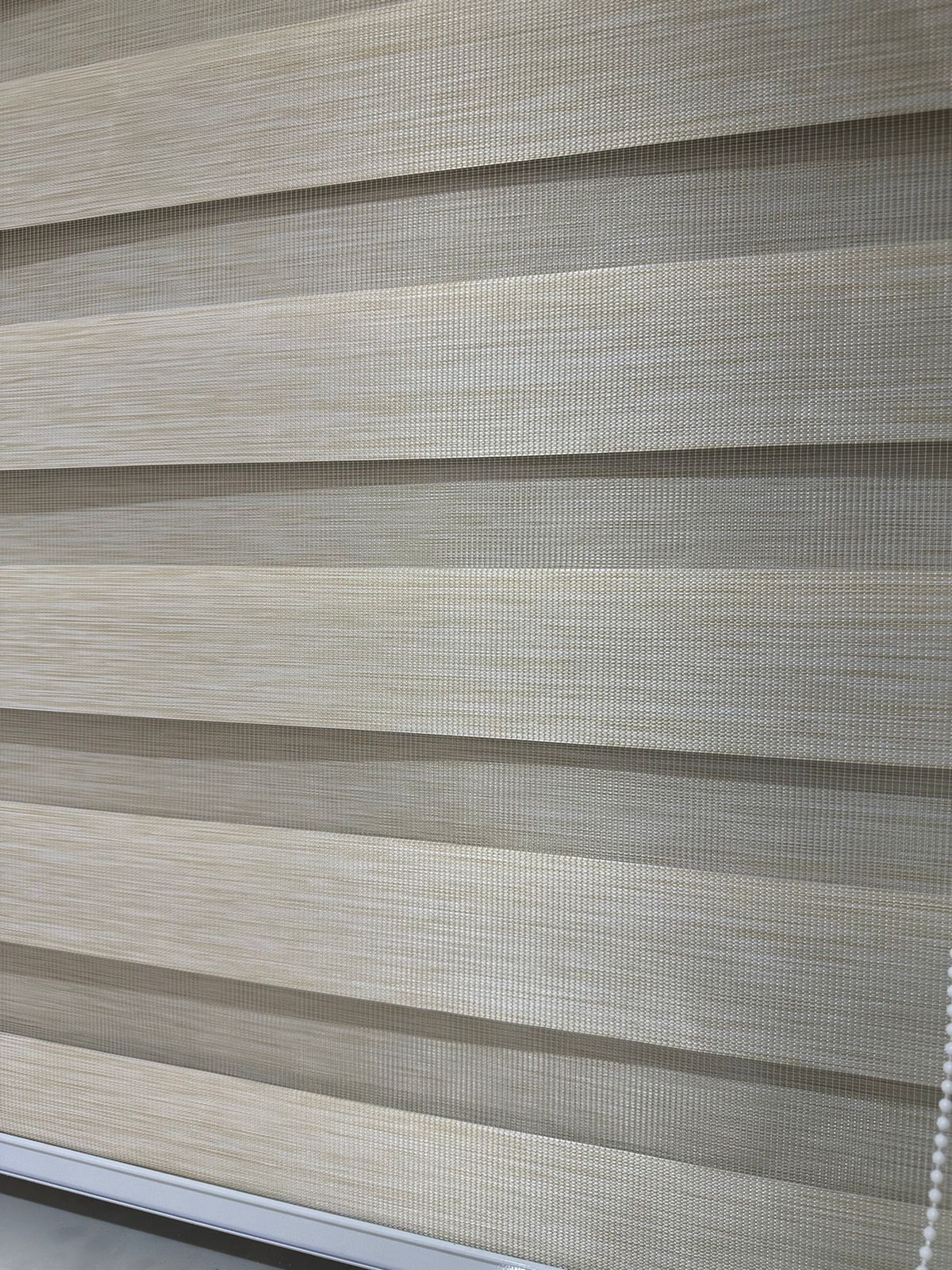 WhatsApp Image 2023-10-28 at 16.00.34